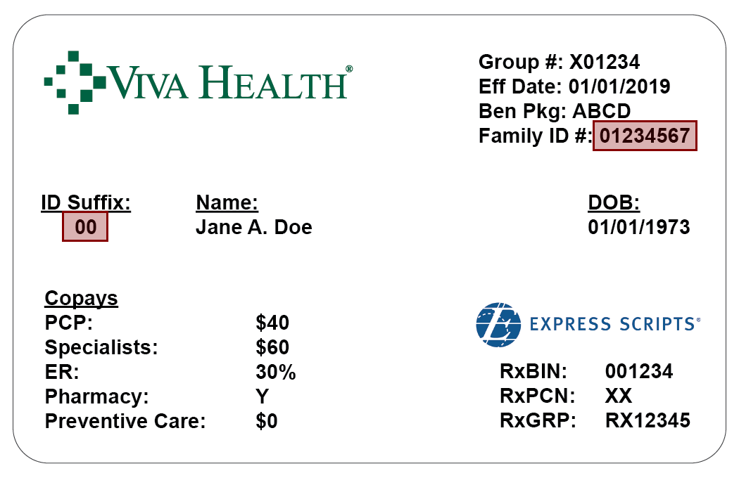 VIVA Example Insurance Card