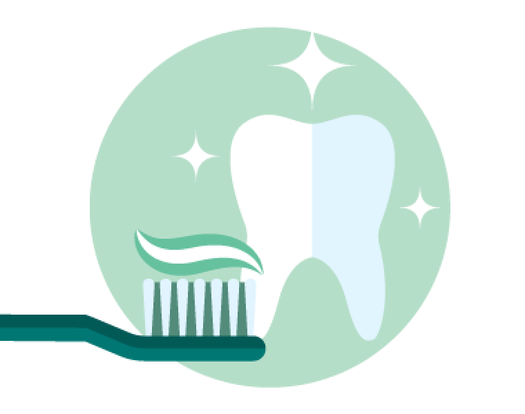 Clean tooth with tooth brush and tooth paste